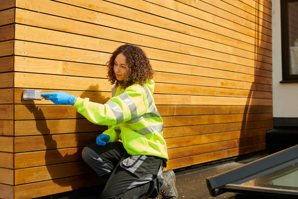 Best Custom Siding Design  in Mountain View Ranches, AZ